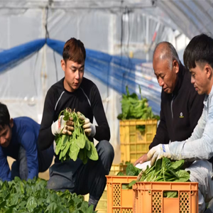 Agriculture and Forestry- Skillrecruits