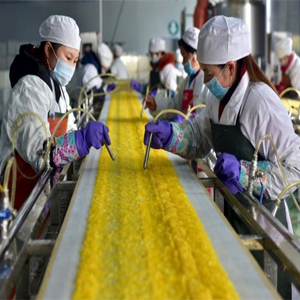 Manufacturing and Industrial - Skillrecruits