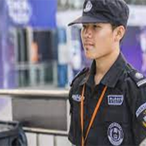 Security and Public Safety - Skillrecruits